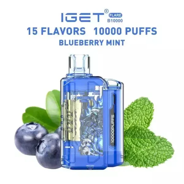 Iget Flare B10000 – Blueberry Mint - Buy Authentic Vape in Jaipur - Vape Shop Jaipur